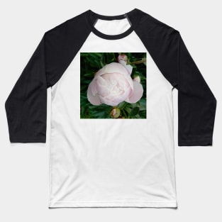 peony Baseball T-Shirt